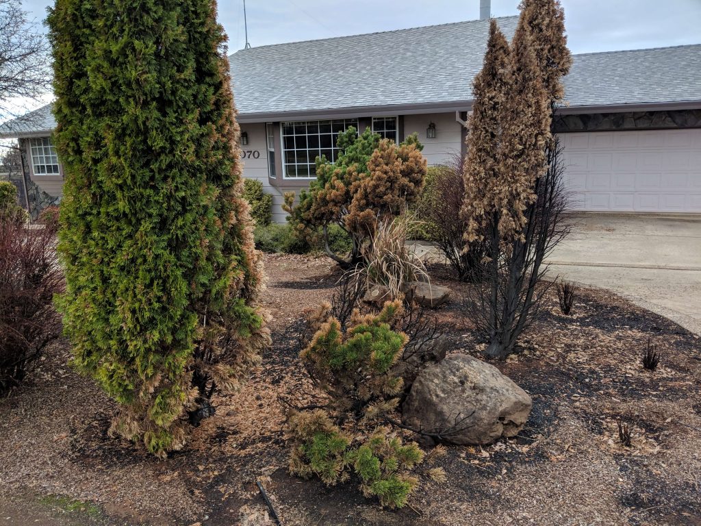 house from the paradise/ camp fire saved by defensible space