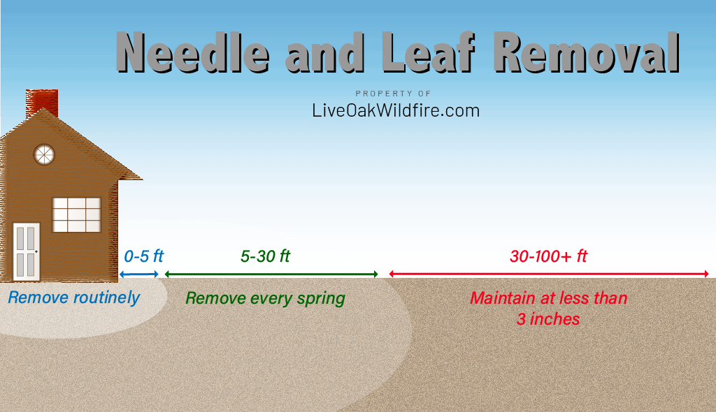 Infographic that shows how to rank leaves for effective defensible space